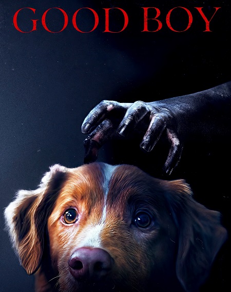 شاهدمشاهدة فيلم Good Boy 2025 مترجم