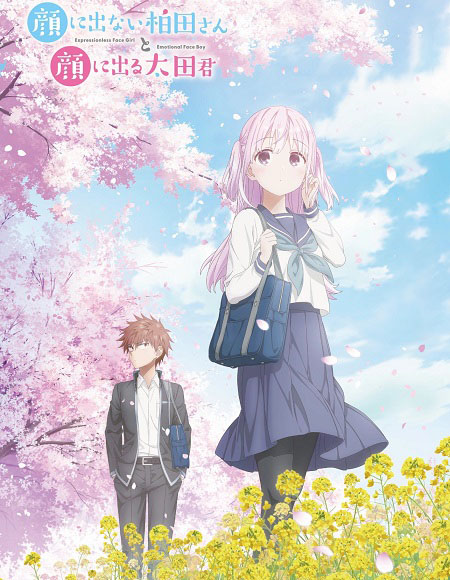 شاهدانمي Kao ni Denai Kashiwada san to Kao ni 