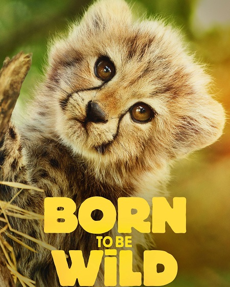 شاهدمسلسل Born to be Wild الموسم الاول الحلقة 3 